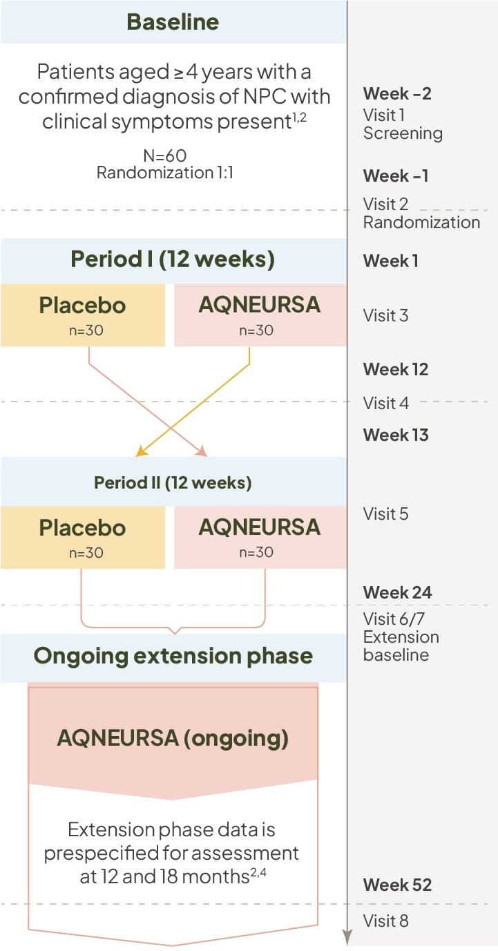 Mobile view of the AQNEURSA clinical trial design for Niemann-Pick disease type C